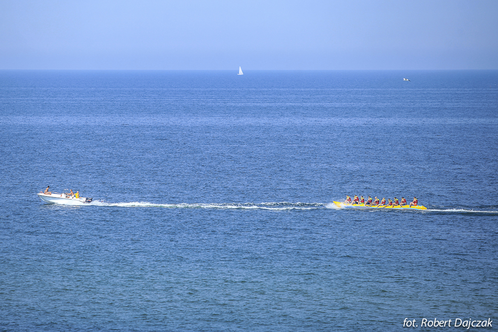 Rewalfot Robert Dajczak 8102